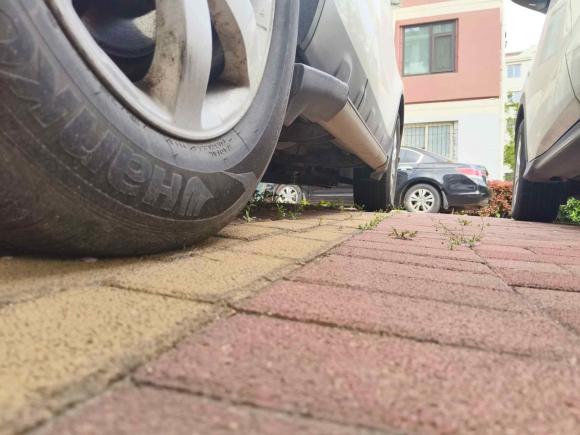 [青岛·鲁U] 二手本田本田CR-V2007款 2.4L 自动四驱豪华版