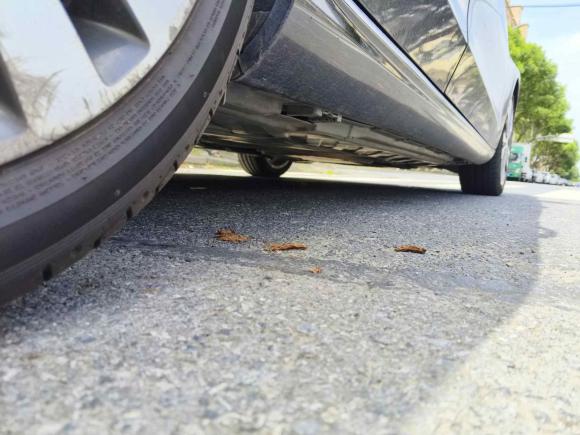 [上海·皖A] 二手奔驰奔驰C级2018款 C 200 L