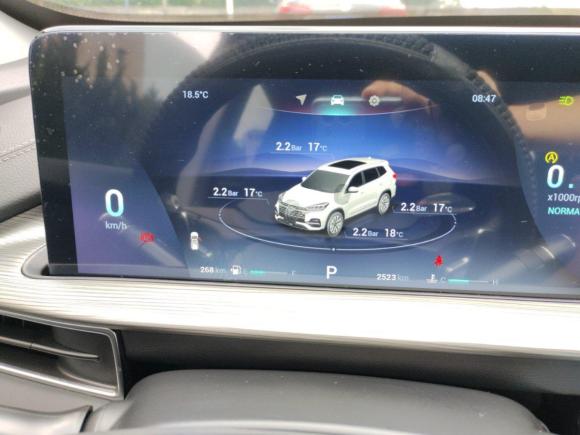 [武汉·鄂A] 二手奇瑞瑞虎82023款 鲲鹏版 290TGDI 自动卓越版