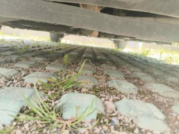 [嘉兴·浙F] 二手MINIMINI2011款 1.6L COOPER Fun