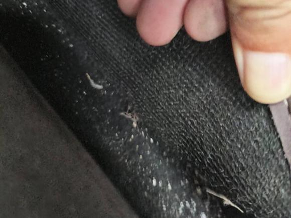 [济南·鲁A] 二手大众桑塔纳2016款 1.4L 手动风尚版