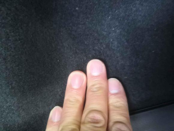 [合肥·皖A] 二手本田英仕派2019款 260TURBO 精致版 国V