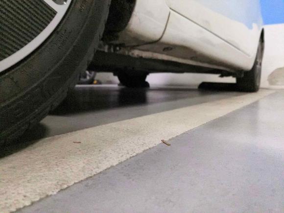 [上海·冀B] 二手起亚起亚K22011款 三厢 1.6L AT Premium