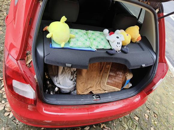 [上海·鄂R] 二手斯柯达晶锐2014款 1.6L 手动Sport版