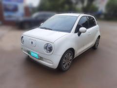 [金华·浙G] 欧拉欧拉黑猫2019款 351km 灵趣版