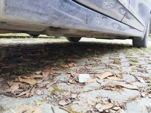 [武汉·鄂A] 二手日产天籁2011款 2.0L XL舒适版