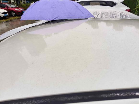 [南京·辽A] 二手雪铁龙世嘉2016款 经典 三厢 1.6L 手动CNG