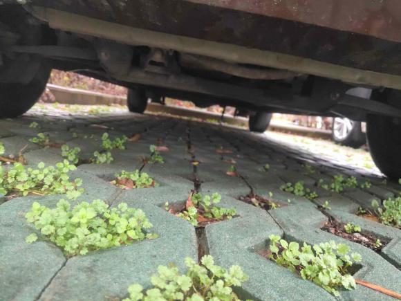 [苏州·苏U] 二手五菱汽车五菱宏光2021款 1.5L S基本型LAR