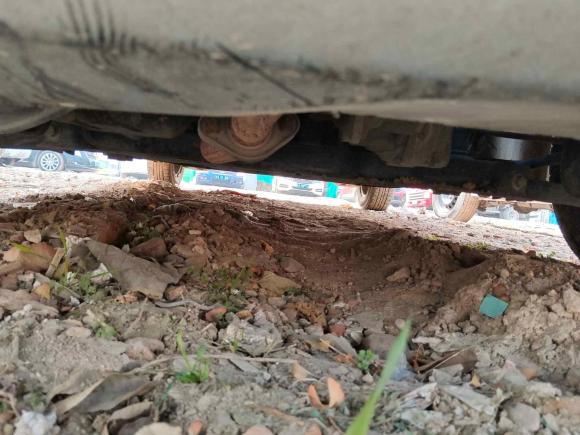 [西安·陕A] 二手铃木雨燕2014款 1.3L 手动标准型