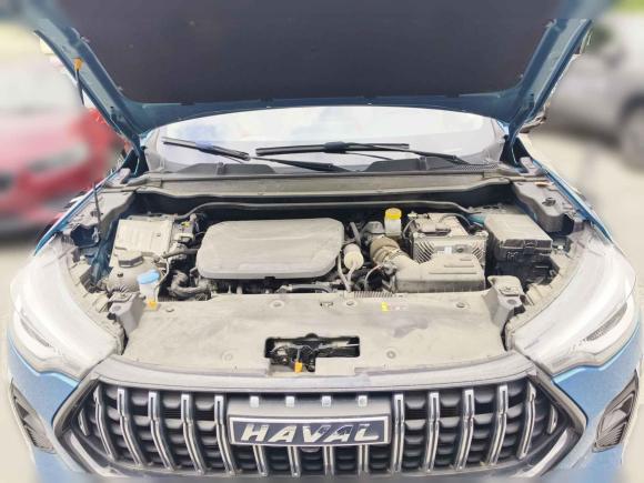 [上海·沪C] 二手哈弗哈弗赤兔2021款 激擎版 1.5T 铂金兔