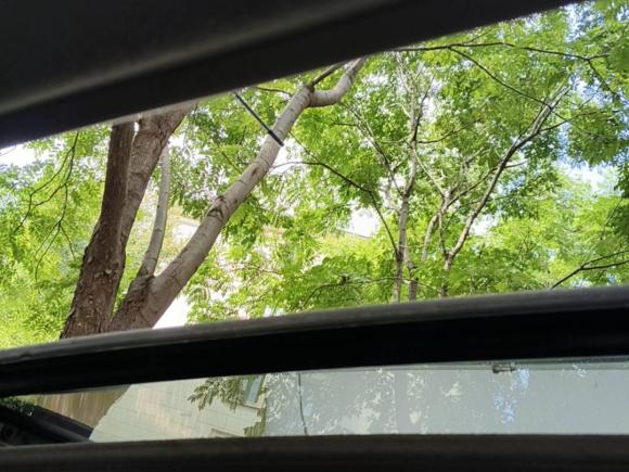 [湖州·粤S] 二手福特嘉年华2014款 两厢 1.0 GTDi 自动劲动型