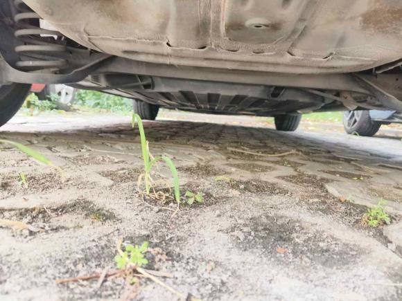 [上海·浙C] 二手本田飞度2014款 1.5L LX 手动舒适型