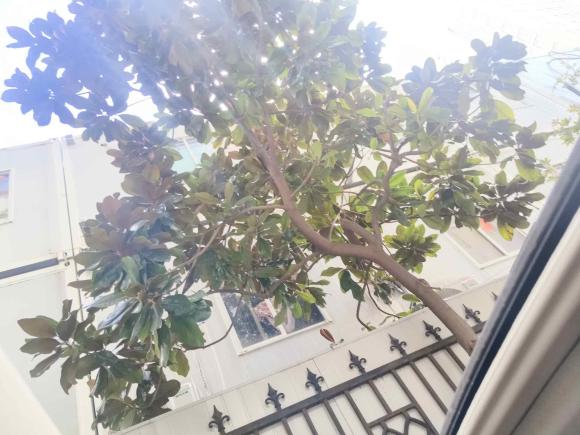 [上海·沪K] 二手雷克萨斯雷克萨斯ES2015款 250 典雅版