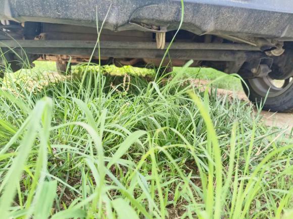 [青岛·鲁P] 二手铃木奥拓2013款 1.0L 手动豪华型