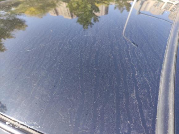 [济南·鲁A] 二手吉利汽车海景2014款 1.5L 手动超越型