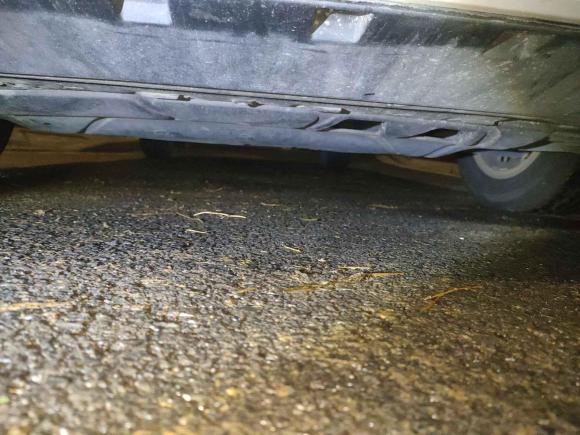 [南京·苏B] 二手大众朗逸2018款 1.5L 自动风尚版 国V