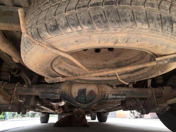 [武汉·鄂A] 二手五菱汽车五菱宏光2015款 1.2L S 基本型国V