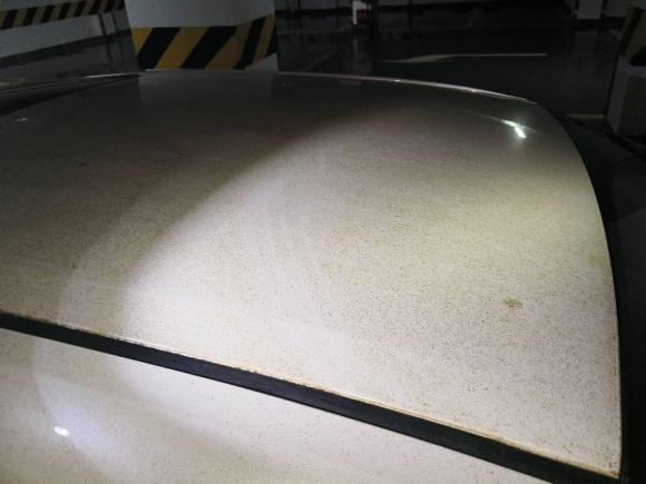 [成都·川A] 二手丰田雷凌2019款 185T CVT运动版 国VI