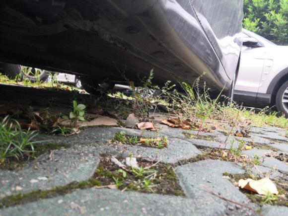 [上海·沪A] 二手日产骐达TIIDA2011款 1.6L CVT智能型