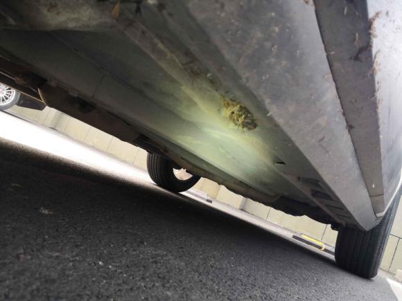 [成都·川A] 二手中华中华V32015款 1.5L 手动智能型