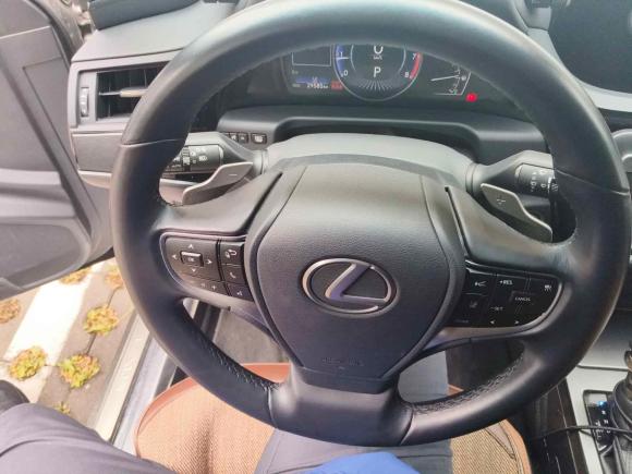 [北京·京E] 二手雷克萨斯雷克萨斯ES2021款 200 卓越版