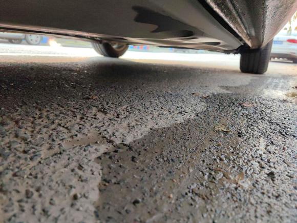 [武汉·鄂A] 二手斯柯达昊锐2009款 2.0TSI 自动尊雅版