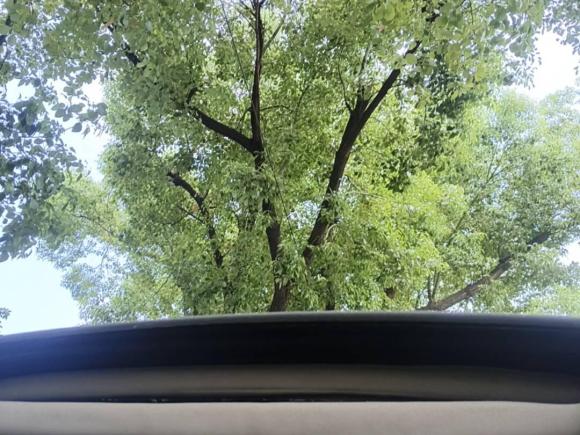 [湖州·粤E] 二手捷豹捷豹S-TYPE2007款 3.0标准型