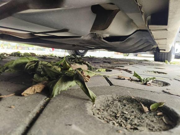 [深圳·粤H] 二手福特蒙迪欧2017款 EcoBoost 200 时尚型