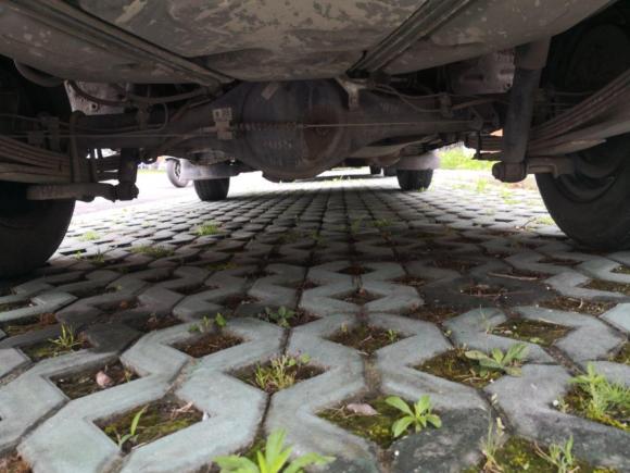 [上海·陕U] 二手金杯金杯海狮2020款 2.0L快运王系列豪华型厢货标准顶国VI 1TZS