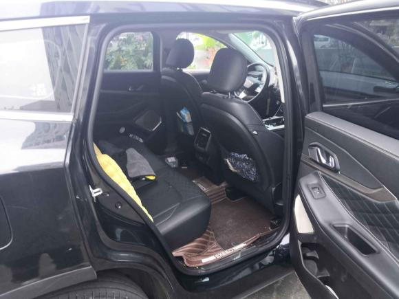 [温州·浙C] 二手星途星途凌云2021款 290T 两驱星耀版