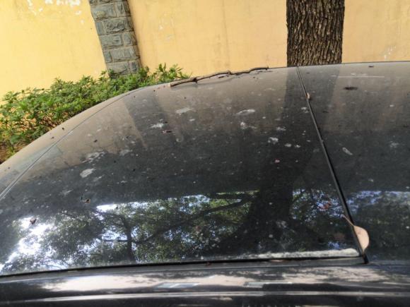 [南昌·赣A] 二手大众尚酷2011款 1.4TSI 舒适版