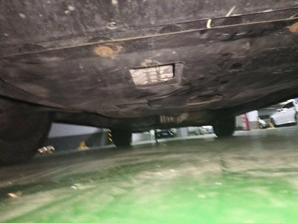 [嘉兴·浙F] 二手广汽传祺传祺GS82022款 双擎系列 2.0TM 两驱尊贵版 （七座）