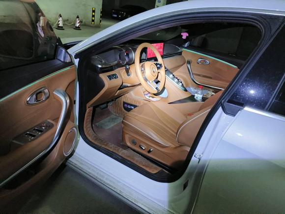 [青岛·鲁B] 二手欧拉欧拉闪电猫2022款 555km 尊贵版