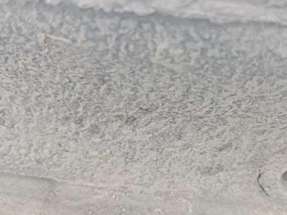 [青岛·鲁Q] 二手大众朗逸2013款 1.4TSI 手动舒适版