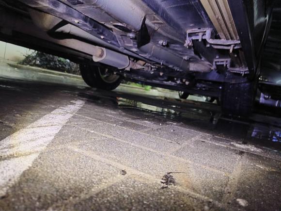 [武汉·鄂A] 二手Jeep指南者2017款 200T 自动家享版