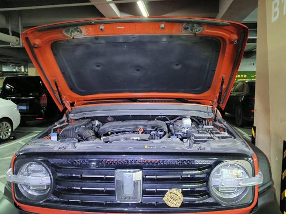 [杭州·浙A] 二手坦克坦克3002021款 越野版 2.0T 征服者