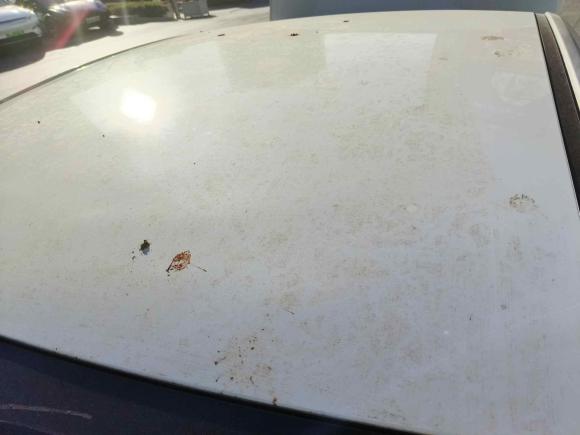 [嘉兴·浙F] 二手北京汽车北京EU52018款 R500 智风版