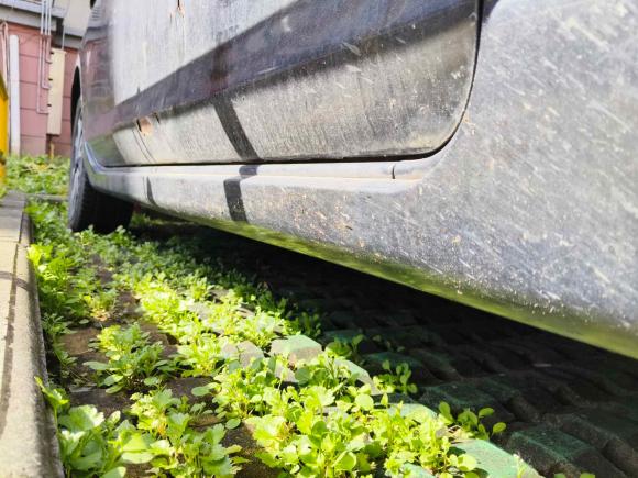 [苏州·苏E] 二手马自达马自达32010款 2.0L 手动经典运动型