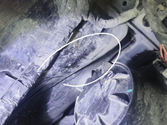 [上海·沪A] 二手欧拉欧拉黑猫2021款 351km 豪华型