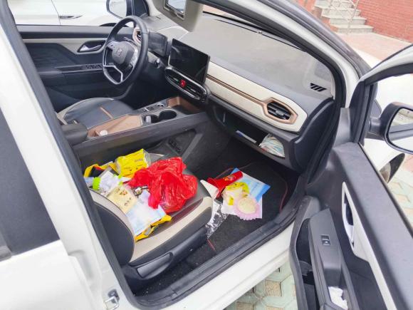 [无锡·苏B] 二手思皓花仙子2022款 花仙子款 满天星