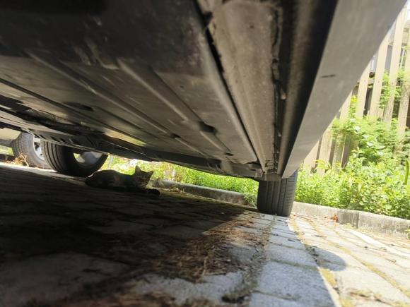 [上海·沪F] 二手领克领克022019款 高能版 2.0T 自动两驱耀Pro版 国VI