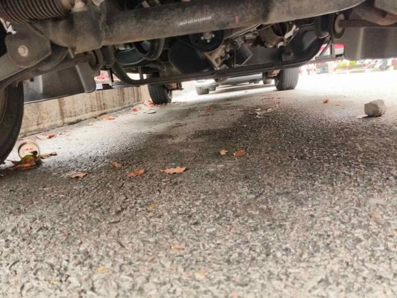 [上海·苏G] 二手金杯新海狮S2019款 1.5L厢货财富版国VI SWC15M