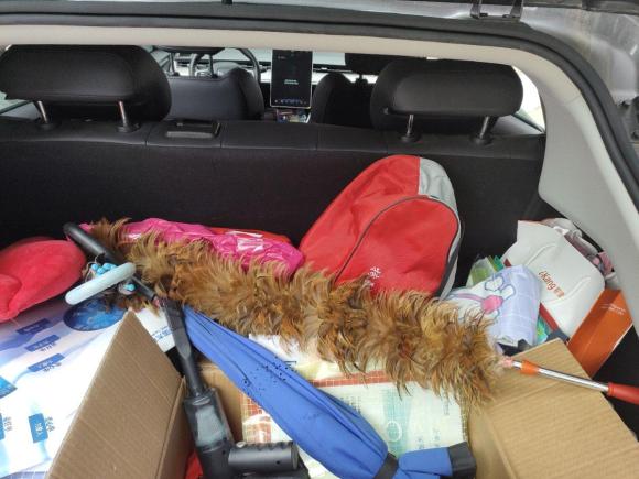 [佛山·粤E] 二手哪吒汽车哪吒V2021款 长续航娱乐版升级型