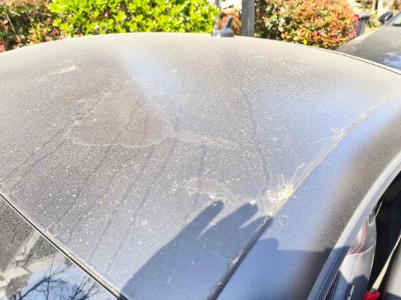 [武汉·鄂A] 二手奥迪奥迪TT2008款 TT Coupe 2.0TFSI