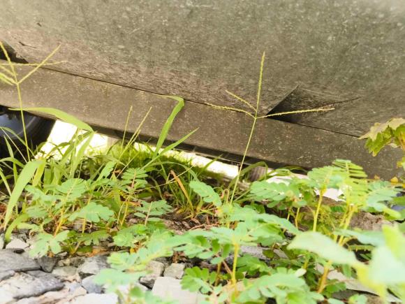 [台州·贵J] 二手奇瑞瑞虎8 PRO2024款 冠军版 290T 两驱巅峰版 5座