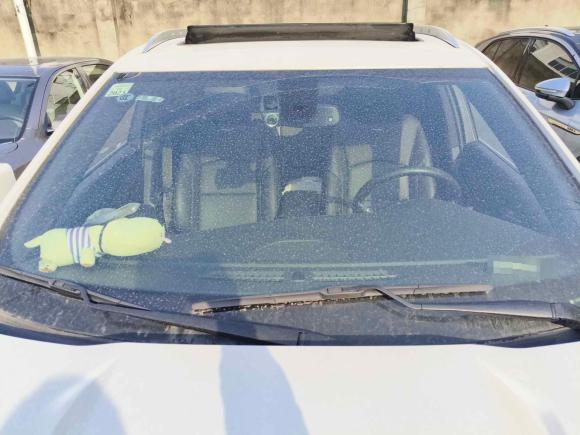 [上海·苏F] 二手凯迪拉克凯迪拉克XT42021款 28T 两驱豪华型