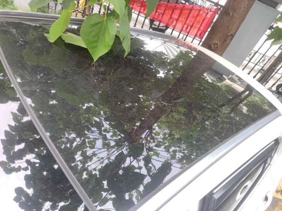 [温州·浙C] 二手哈弗哈弗F52018款 1.5T i潮