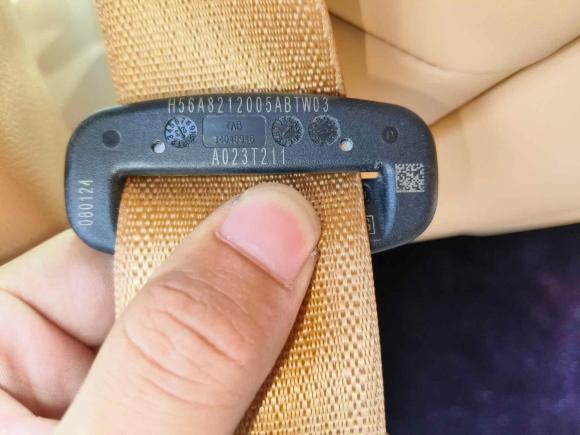 [南昌·赣A] 二手岚图汽车岚图梦想家2024款 PHEV 超长续航尊贵版