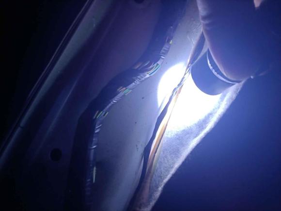 [佛山·粤X] 二手福特翼搏2016款 1.5L 自动运动典藏版