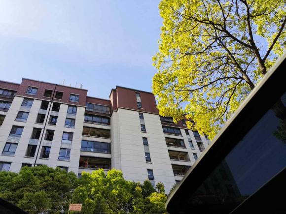 [上海·沪C] 二手比亚迪宋PLUS2020款 1.5T 自动尊贵型